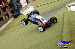 2015 DM 4WD Buggy 4WD Juni